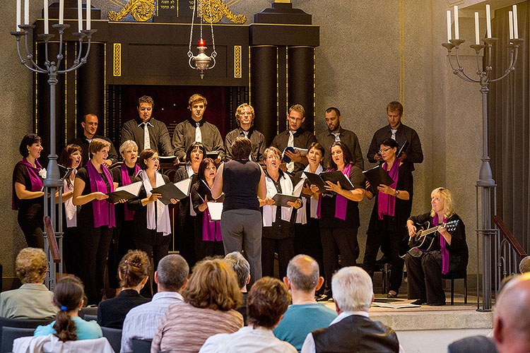 Musica Divina, artistic director Zdeňka Litvanová, 29.6.2014, Chamber Music Festival Český Krumlov