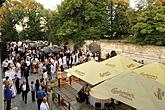 North Bohemian Philharmonic Teplice, conductor: Tomáš Brauner - Symphonic Concert to Mark the Year of Czech Music, 19.7.2014, International Music Festival Český Krumlov, photo by: Libor Sváček