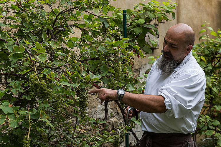 St.-Wenzels-Fest, Internationales Folklorefestival und 18. Treffens der Berg- und Hüttenstädte und -Dörfer Tschechiens in Český Krumlov, 27.9.2014