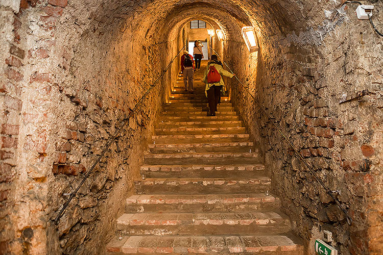 Saint Wenceslas Celebrations in Český Krumlov, 28.9.2014