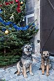 Bärenweihnachten, 24.12.2014, Advent und Weihnachten in Český Krumlov, Foto: Lubor Mrázek