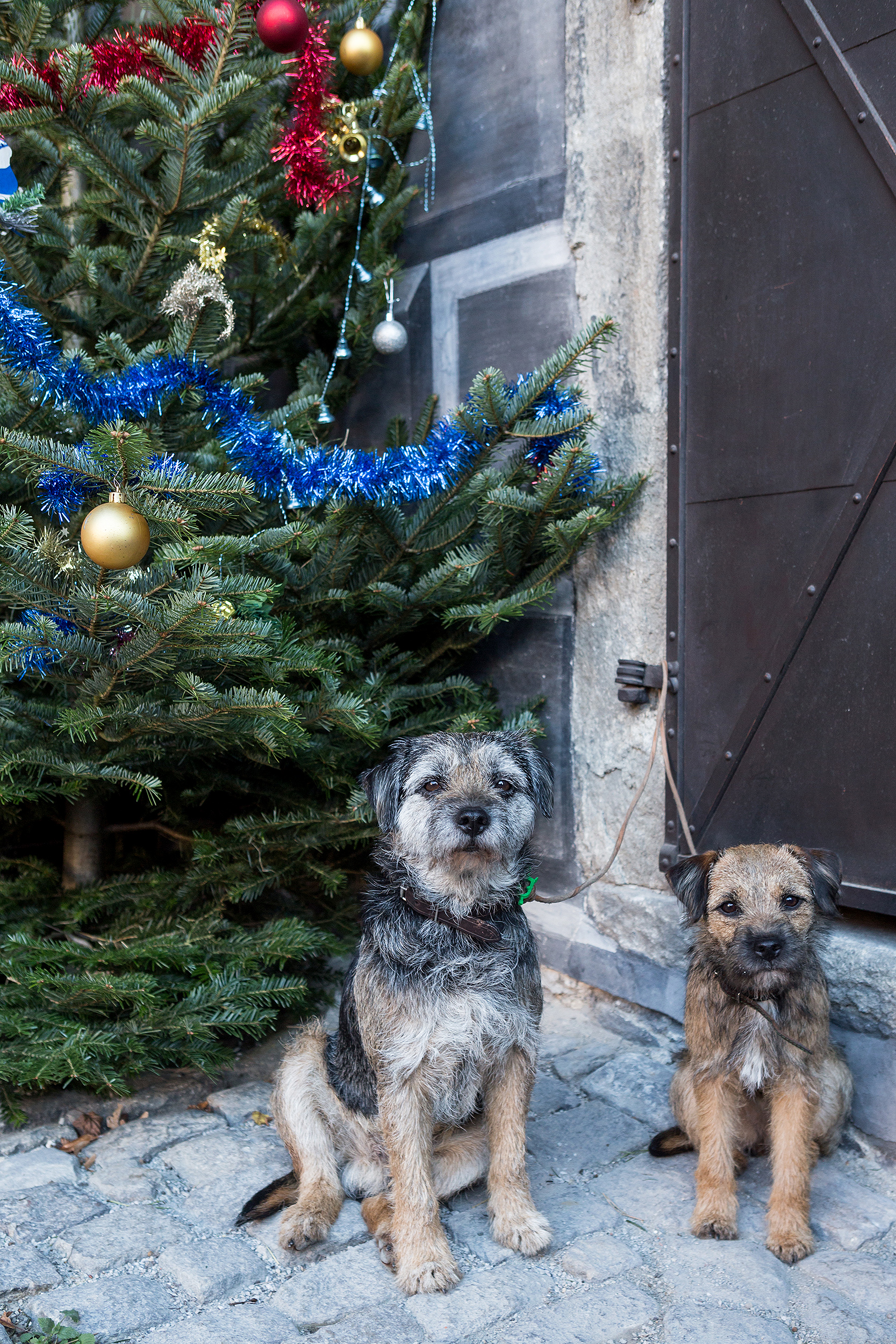 Bärenweihnachten, 24.12.2014, Advent und Weihnachten in Český Krumlov