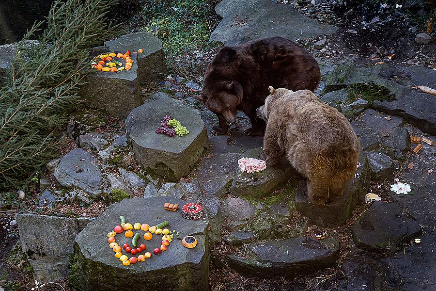 Christmas for the Bears, 24.12.2014, Advent and Christmas in Český Krumlov