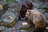 Christmas for the Bears, 24.12.2014, Advent and Christmas in Český Krumlov, photo by: Lubor Mrázek