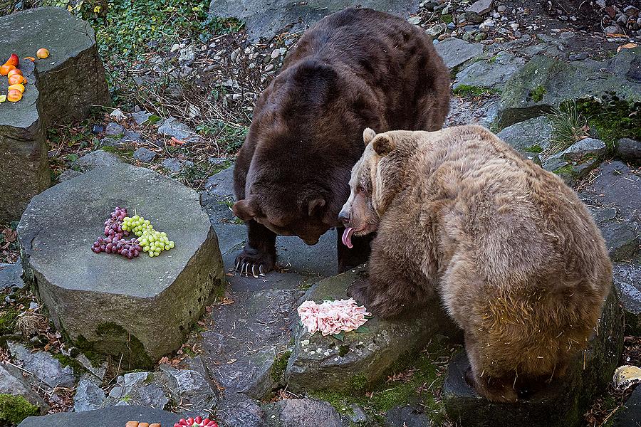 Bärenweihnachten, 24.12.2014, Advent und Weihnachten in Český Krumlov