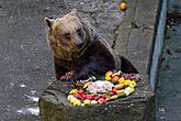 Christmas for the Bears, 24.12.2014, Advent and Christmas in Český Krumlov, photo by: Lubor Mrázek