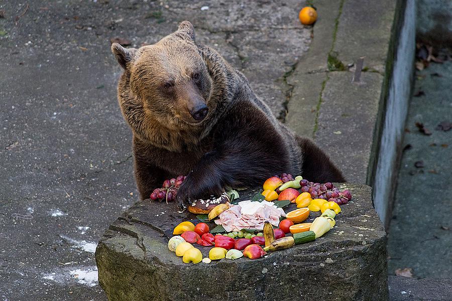 Bärenweihnachten, 24.12.2014, Advent und Weihnachten in Český Krumlov