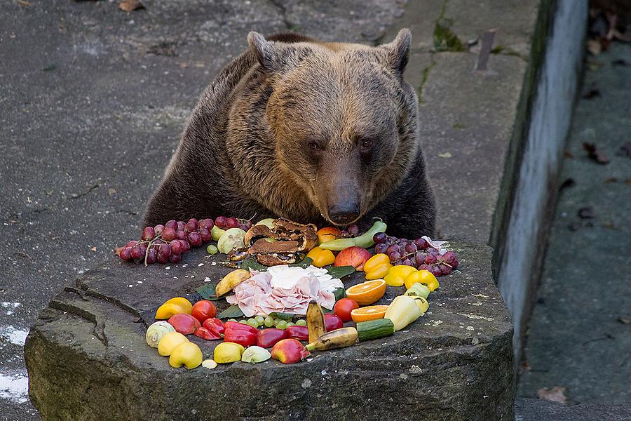 Medvědí vánoce, 24.12.2014, Advent a Vánoce v Českém Krumlově