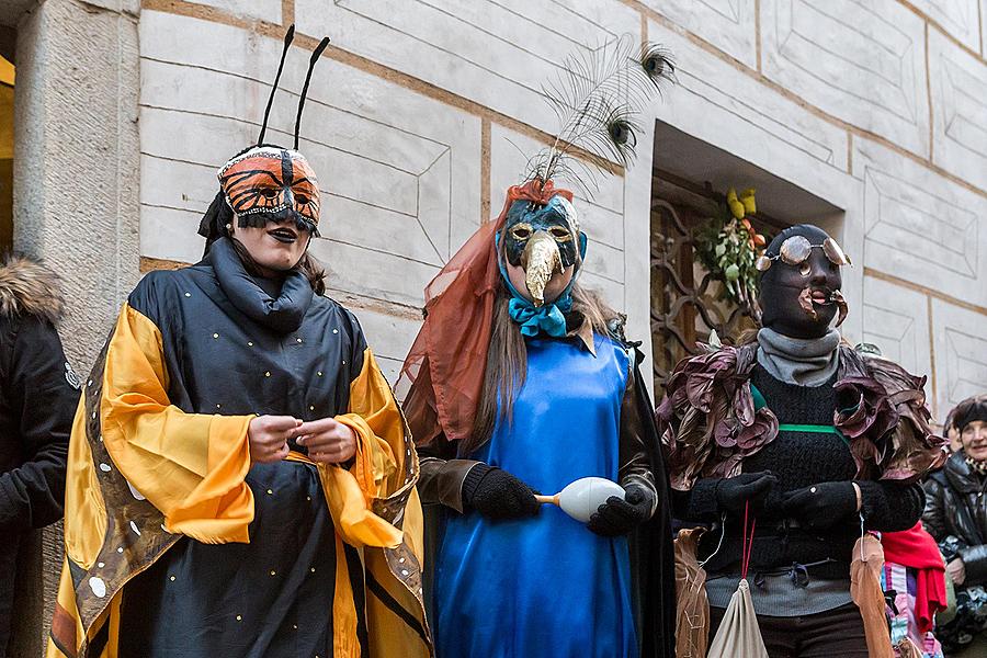 Carnival parade in Český Krumlov, 17th February 2015