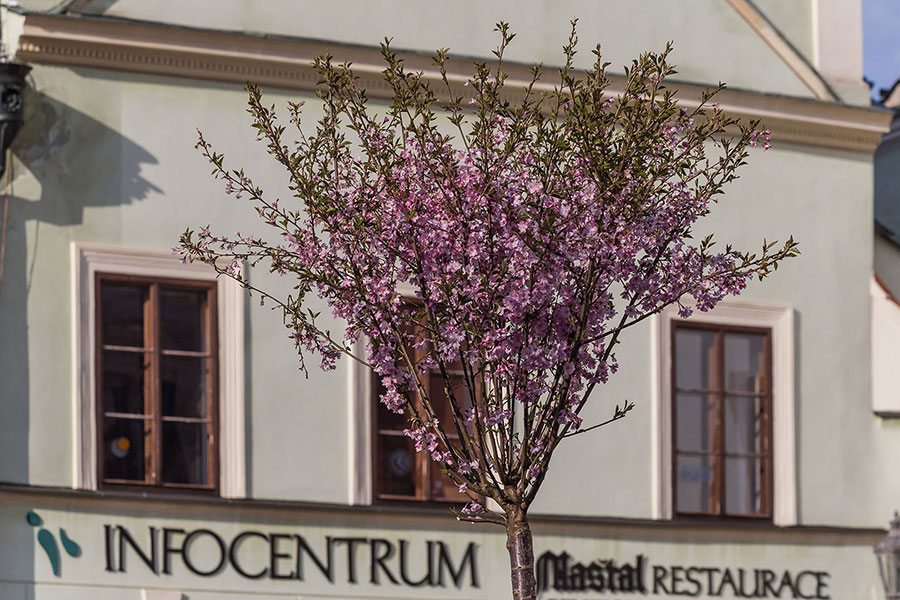 Magical Krumlov 2015