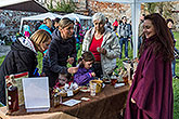 Kouzelný Krumlov 2015, foto: Lubor Mrázek