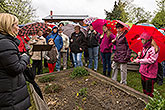 Zauberhaftes Krumlov 2015, Foto: Lubor Mrázek