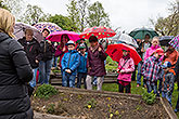 Zauberhaftes Krumlov 2015, Foto: Lubor Mrázek