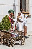 Fest der fünfblättrigen Rose ®, Český Krumlov, Samstag 20. 6. 2015, Foto: Lubor Mrázek