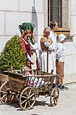 Slavnosti pětilisté růže ®, Český Krumlov, sobota 20. 6. 2015, foto: Lubor Mrázek