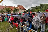 Fest der fünfblättrigen Rose ®, Český Krumlov, Samstag 20. 6. 2015, Foto: Lubor Mrázek