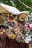 Fest der fünfblättrigen Rose ®, Český Krumlov, Sonntag 21. 6. 2015, Foto: Lubor Mrázek