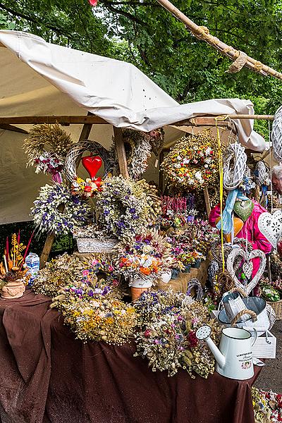 Five-Petalled Rose Celebrations ®, Český Krumlov, Sunday 21st June 2015