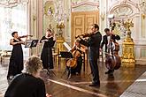 Adamus Ensemble - pocta mistru Sukovi, 3.7.2015, Festival komorní hudby Český Krumlov, foto: Lubor Mrázek