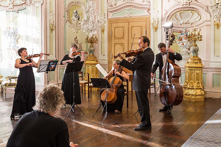 Adamus Ensemble - pocta mistru Sukovi, 3.7.2015, Festival komorní hudby Český Krumlov