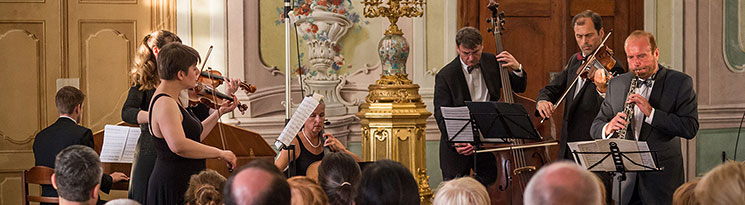 Adamus Ensemble - pocta mistru Sukovi, 3.7.2015, Festival komornÃ­ hudby ÄeskÃ½ Krumlov