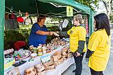 Tag mit Handicap - Tag ohne Barrieren 12.9.2015, Foto: Lubor Mrázek