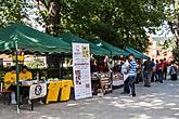 Disability Day - Day without Barriers 12.9.2015, photo by: Lubor Mrázek