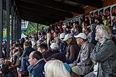 Svoboda a sport - 70. výročí utkání americké armády v americkém fotbale, Český Krumlov sobota 26. září 2015, foto: Lubor Mrázek