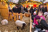 Jesuleins Postamt Zum Goldenen Engel und Ankunft der Weißen Frau 6.12.2015, Advent und Weihnachten in Český Krumlov, Foto: Lubor Mrázek