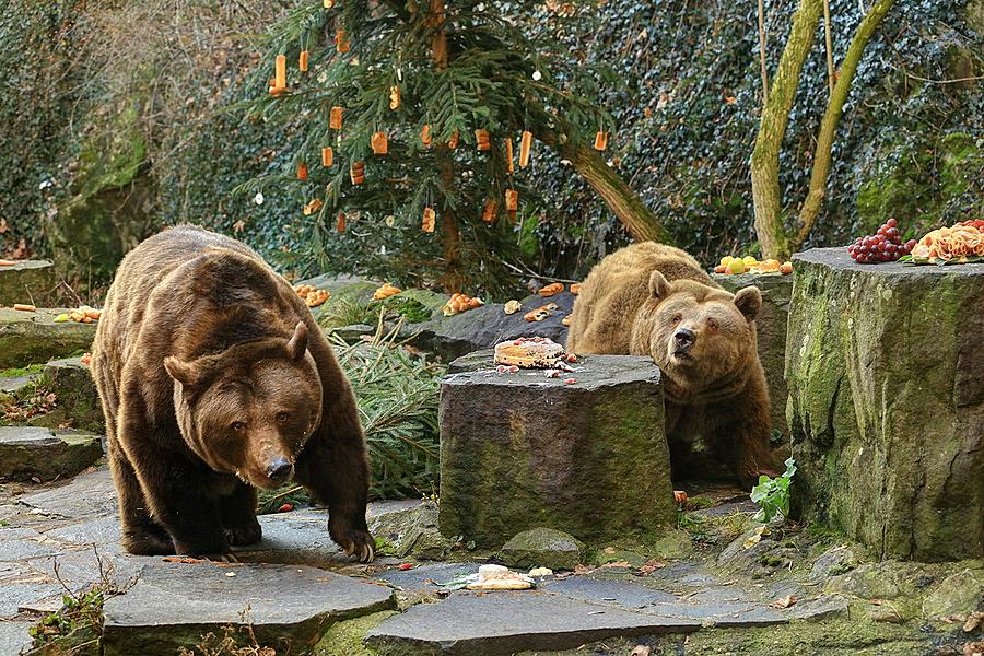 Christmas for the Bears, 24.12.2015, Advent and Christmas in Český Krumlov