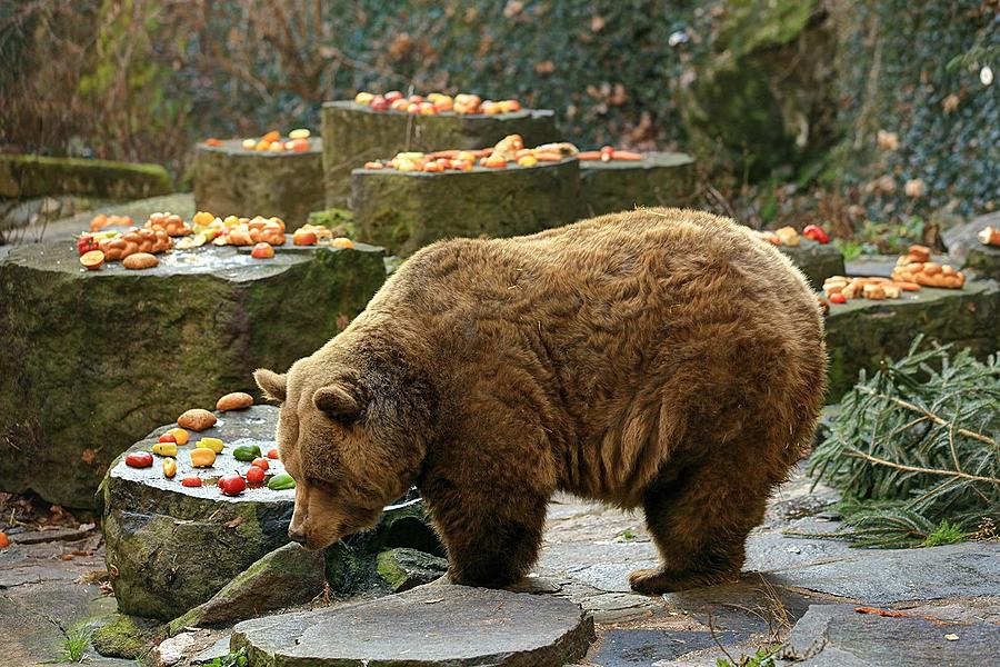 Bärenweihnachten, 24.12.2015, Advent und Weihnachten in Český Krumlov