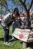 Zauberhaftes Krumlov 2016, Foto: Lubor Mrázek