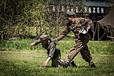 Celebration of 71st Anniversary of the end of World War II,  7. - 8.5.2016, Foto: Lubor Mrázek