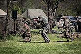 Celebration of 71st Anniversary of the end of World War II,  7. - 8.5.2016, photo by: Lubor Mrázek