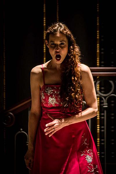 Barbora Martínková-Polášková a Petr Martínek, Nokturno - Opera Arias Evening, 1.7.2016, Chamber Music Festival Český Krumlov 2016 - 30th Anniversary