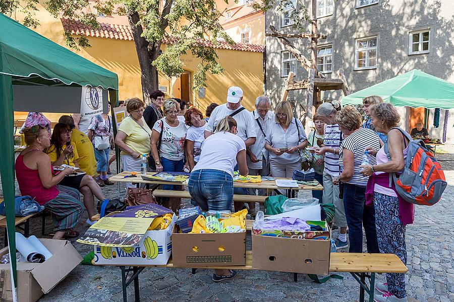 Disability Day - Day without Barriers Český Krumlov 10.9.2016