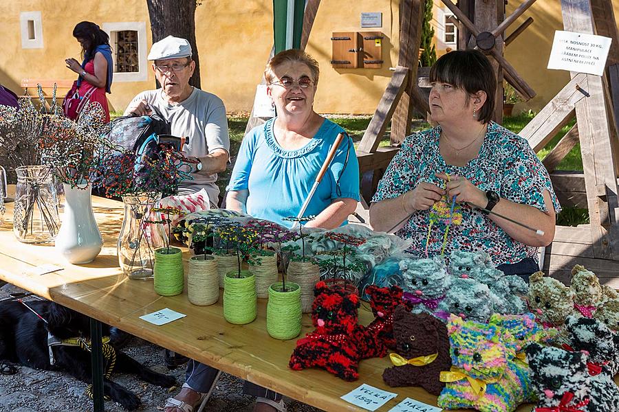 Disability Day - Day without Barriers Český Krumlov 10.9.2016