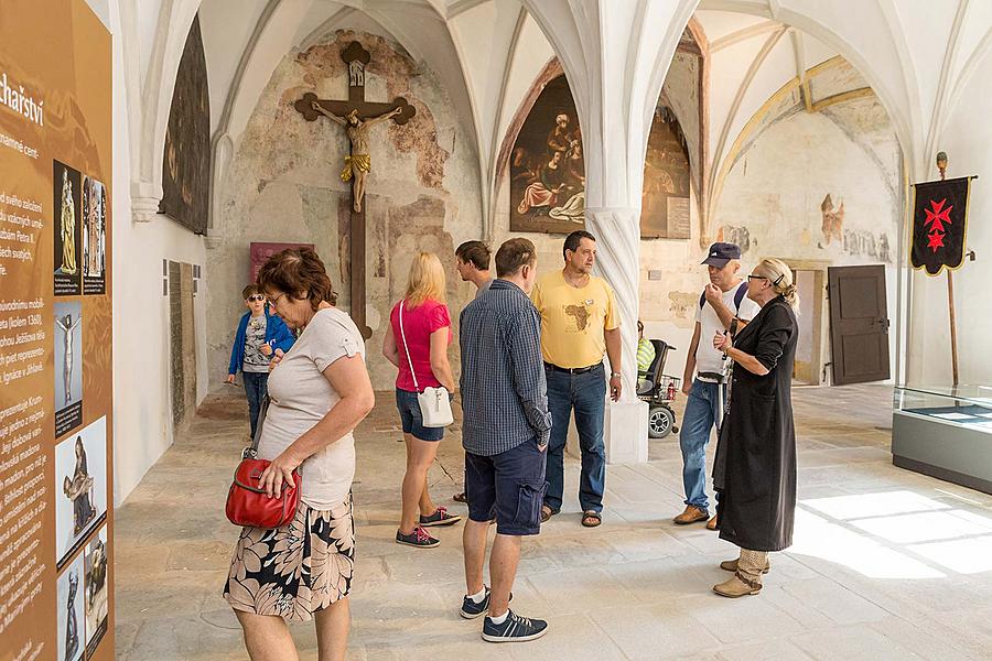 Disability Day - Day without Barriers Český Krumlov 10.9.2016