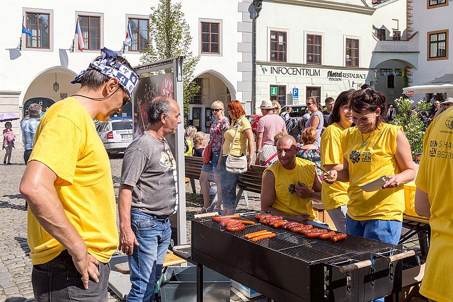 Disability Day - Day without Barriers Český Krumlov 10.9.2016