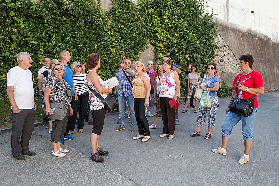 Disability Day - Day without Barriers Český Krumlov 10.9.2016