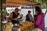 Saint Wenceslas Celebrations and International Folk Music Festival 2016 in Český Krumlov, Saturday 24th September 2016, photo by: Lubor Mrázek
