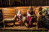 1. adventní neděle - hudebně poetické otevření Adventu spojené s rozsvícením vánočního stromu, Český Krumlov 27.11.2016, foto: Lubor Mrázek