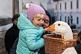 Lebende Krippe, 23.12.2016, Advent und Weihnachten in Český Krumlov, Foto: Lubor Mrázek