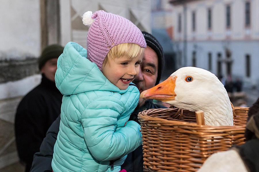 Živý Betlém, 23.12.2016, Advent a Vánoce v Českém Krumlově