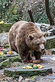 Christmas for the Bears, 24.12.2016, Advent and Christmas in Český Krumlov, photo by: Lubor Mrázek