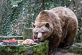 Christmas for the Bears, 24.12.2016, Advent and Christmas in Český Krumlov, photo by: Lubor Mrázek