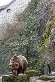 Christmas for the Bears, 24.12.2016, Advent and Christmas in Český Krumlov, photo by: Lubor Mrázek