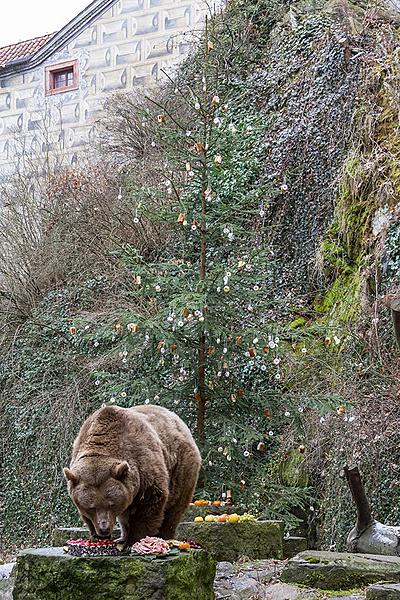 Christmas for the Bears, 24.12.2016, Advent and Christmas in Český Krumlov