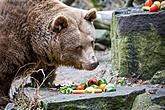 Christmas for the Bears, 24.12.2016, Advent and Christmas in Český Krumlov, photo by: Lubor Mrázek