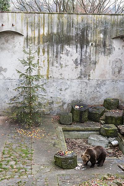 Bärenweihnachten, 24.12.2016, Advent und Weihnachten in Český Krumlov
